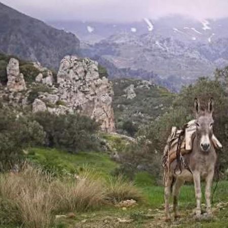 Traditional Cretan House Lithostrati Karidi Village Luaran gambar