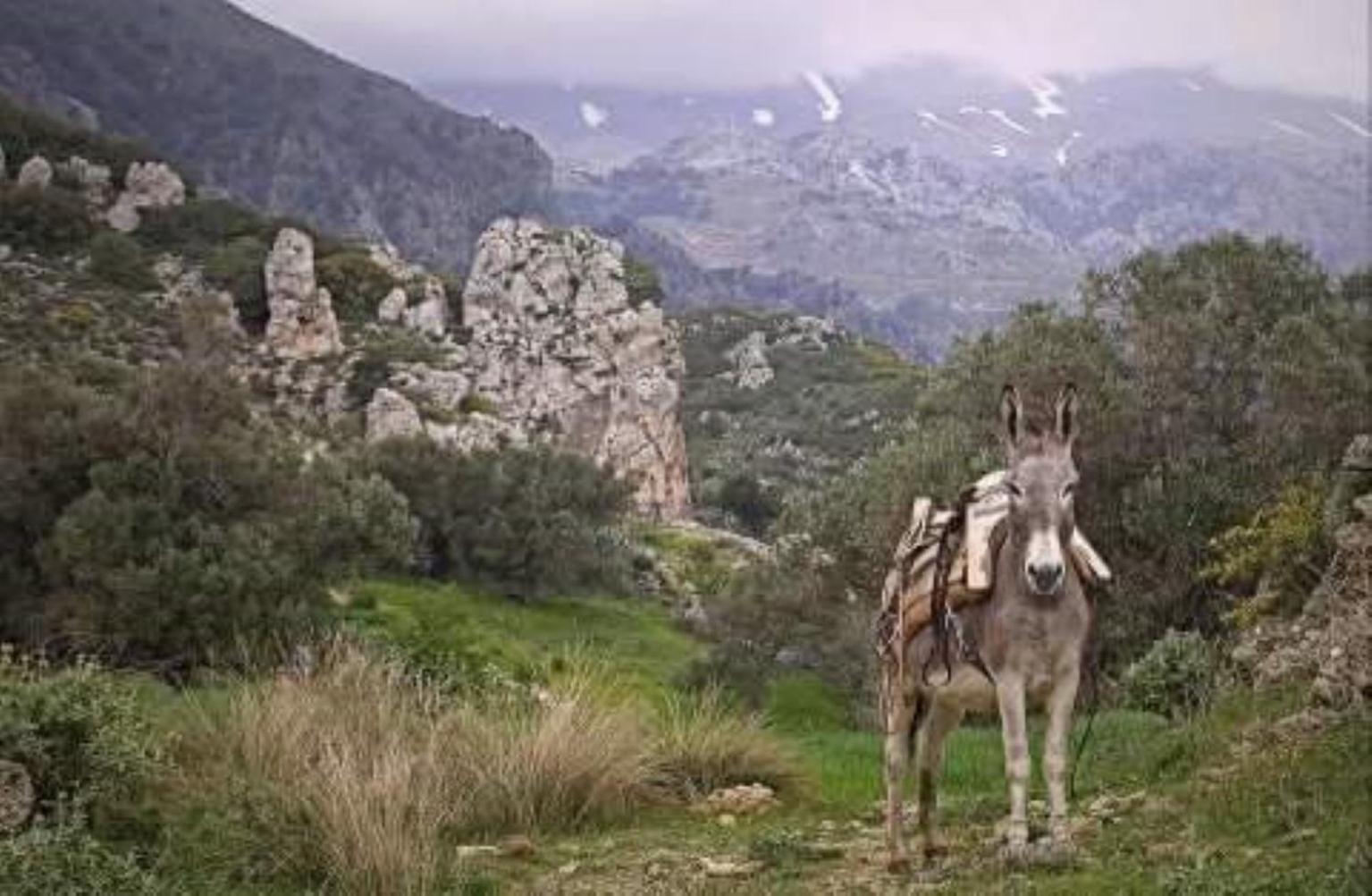 Traditional Cretan House Lithostrati Karidi Village Luaran gambar